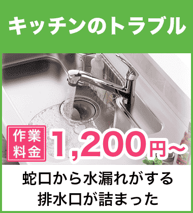 キッチン（台所）の蛇口の水漏れ修理 生駒市